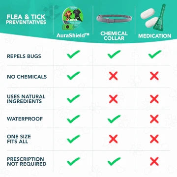 12-Month Flea & Tick Protection Pendant for Dogs – Natural, Water-Resistant, One-Size Collar Tag Last Day 50% OFF 🔥