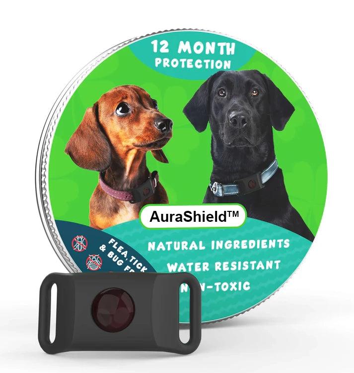 12-Month Flea & Tick Protection Pendant for Dogs – Natural, Water-Resistant, One-Size Collar Tag Last Day 50% OFF 🔥
