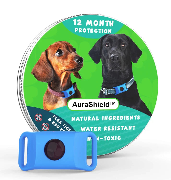 12-Month Flea & Tick Protection Pendant for Dogs – Natural, Water-Resistant, One-Size Collar Tag Last Day 50% OFF 🔥