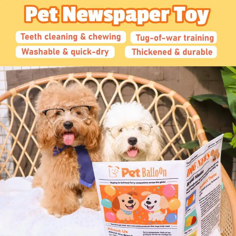 Pet Balloon Newspaper Toy – Crinkle Sound, Durable & Washable | Last Day 50% OFF 🔥