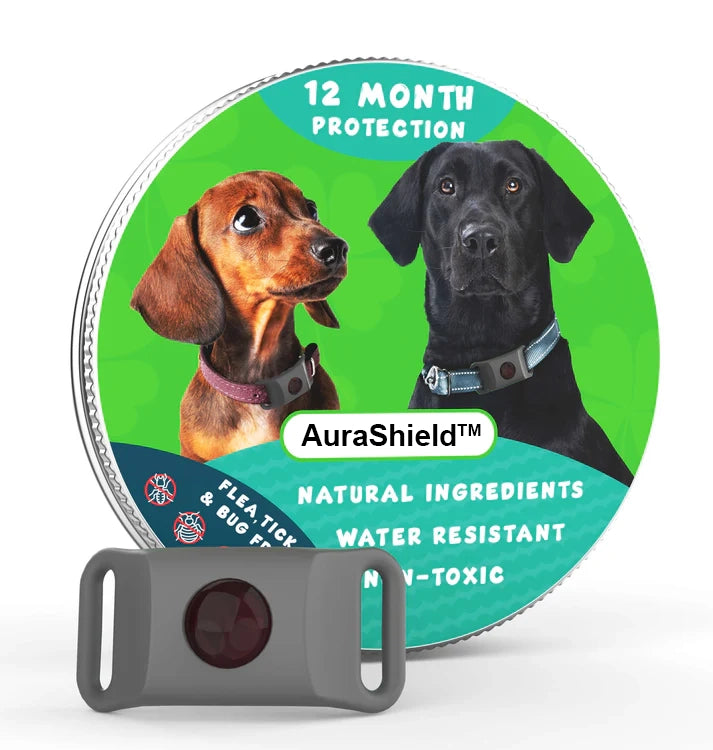 12-Month Flea & Tick Protection Pendant for Dogs – Natural, Water-Resistant, One-Size Collar Tag Last Day 50% OFF 🔥