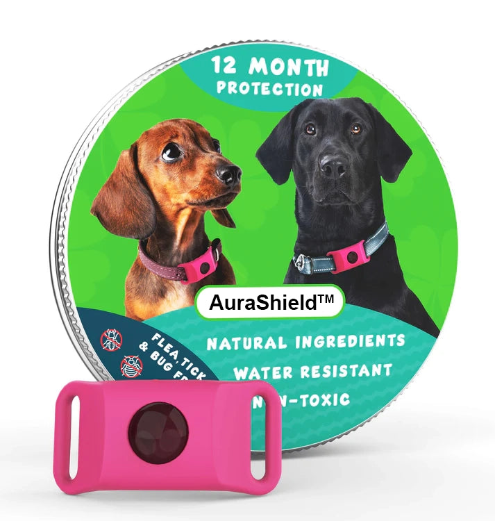 12-Month Flea & Tick Protection Pendant for Dogs – Natural, Water-Resistant, One-Size Collar Tag Last Day 50% OFF 🔥