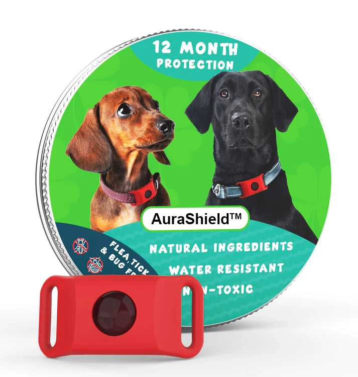 12-Month Flea & Tick Protection Pendant for Dogs – Natural, Water-Resistant, One-Size Collar Tag Last Day 50% OFF 🔥