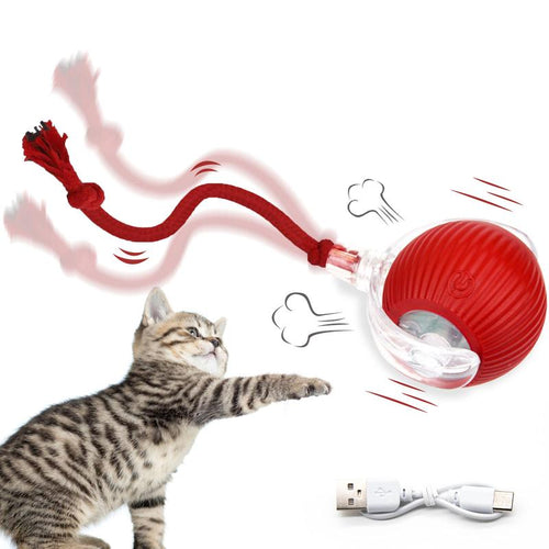 Bestselling Smart Interactive Pet Rolling Ball | Automatic USB Teaser Toy (Includes 2 Free Replacement Tails) | The Ultimate Boredom Buster for Your Furry Best Friend (Last Day 90% OFF 🔥)