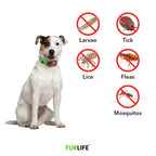 12-Month Flea & Tick Protection Pendant for Dogs – Natural, Water-Resistant, One-Size Collar Tag Last Day 50% OFF 🔥