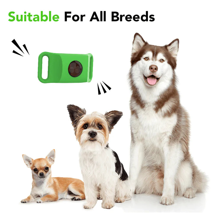 12-Month Flea & Tick Protection Pendant for Dogs – Natural, Water-Resistant, One-Size Collar Tag Last Day 50% OFF 🔥