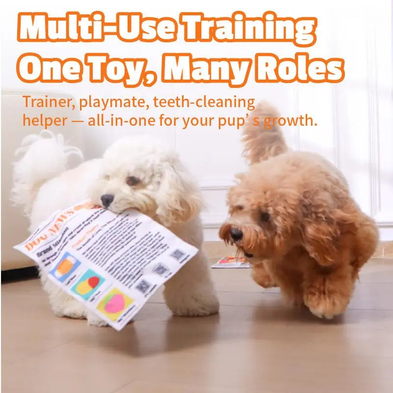 Pet Balloon Newspaper Toy – Crinkle Sound, Durable & Washable | Last Day 50% OFF 🔥