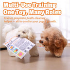 Pet Balloon Newspaper Toy – Crinkle Sound, Durable & Washable | Last Day 50% OFF 🔥